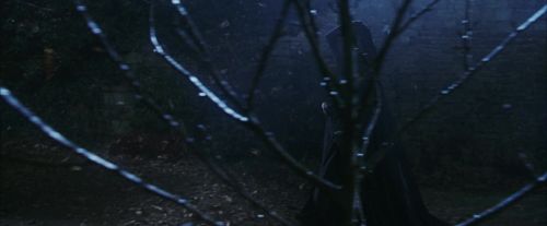 Click to view full size image
==============
PF-Potterish_02536.jpg PF-Potterish_02536.jpg