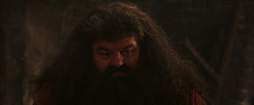 Click to view full size image
==============
PF-Potterish_02587.jpg PF-Potterish_02587.jpg