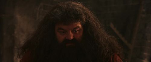 PF-Potterish_02588.jpg
