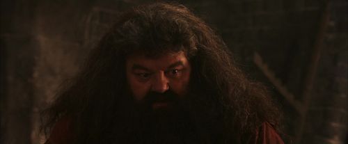 PF-Potterish_02589.jpg