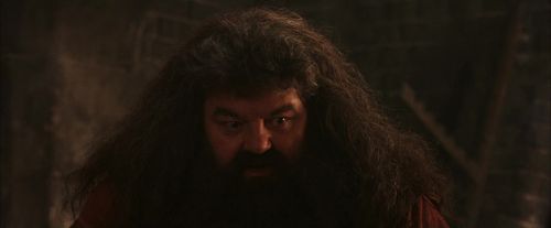 PF-Potterish_02590.jpg