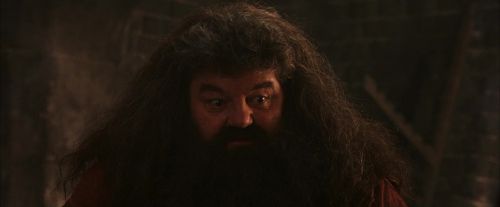 Click to view full size image
==============
PF-Potterish_02591.jpg PF-Potterish_02591.jpg