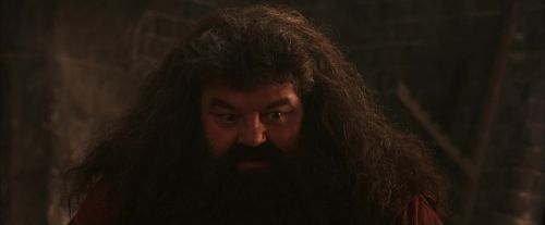 PF-Potterish_02592.jpg