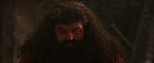 Click to view full size image
==============
PF-Potterish_02593.jpg PF-Potterish_02593.jpg