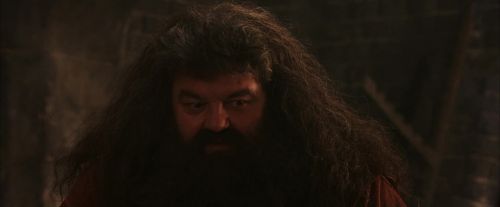 Click to view full size image
==============
PF-Potterish_02594.jpg PF-Potterish_02594.jpg
