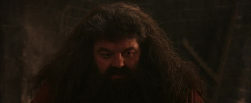 PF-Potterish_02595.jpg