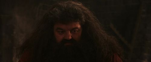 PF-Potterish_02596.jpg