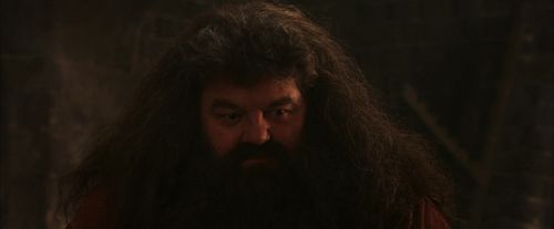 Click to view full size image
==============
PF-Potterish_02597.jpg PF-Potterish_02597.jpg
