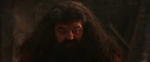 Click to view full size image
==============
PF-Potterish_02598.jpg PF-Potterish_02598.jpg