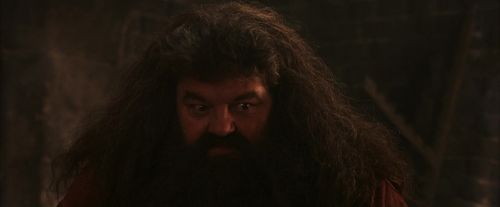 PF-Potterish_02599.jpg