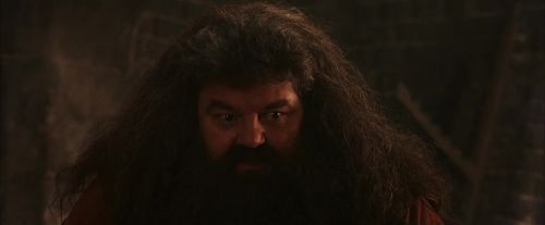 Click to view full size image
==============
PF-Potterish_02600.jpg PF-Potterish_02600.jpg