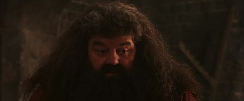 Click to view full size image
==============
PF-Potterish_02609.jpg PF-Potterish_02609.jpg