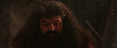 Click to view full size image
==============
PF-Potterish_02610.jpg PF-Potterish_02610.jpg