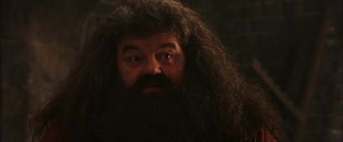PF-Potterish_02611.jpg