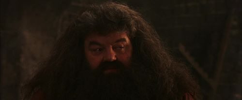 PF-Potterish_02612.jpg