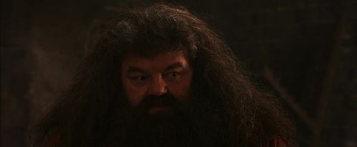 PF-Potterish_02614.jpg
