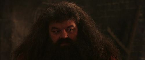 Click to view full size image
==============
PF-Potterish_02616.jpg PF-Potterish_02616.jpg