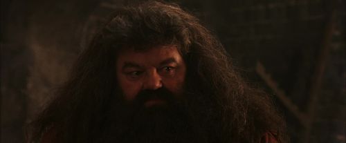 PF-Potterish_02617.jpg