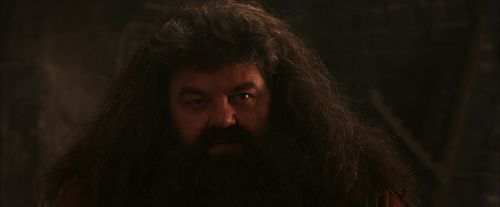 Click to view full size image
==============
PF-Potterish_02619.jpg PF-Potterish_02619.jpg