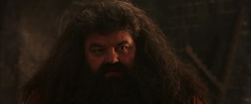 PF-Potterish_02620.jpg