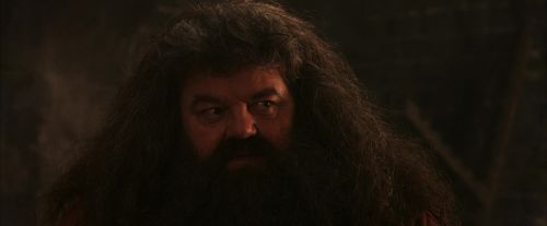 PF-Potterish_02624.jpg