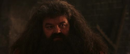 PF-Potterish_02625.jpg