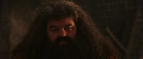 PF-Potterish_02626.jpg