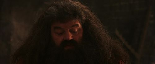 PF-Potterish_02627.jpg