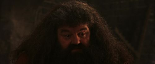 PF-Potterish_02628.jpg