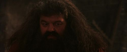 PF-Potterish_02633.jpg
