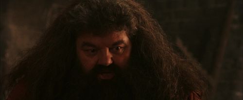 PF-Potterish_02642.jpg