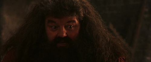 PF-Potterish_02644.jpg