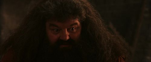 PF-Potterish_02645.jpg
