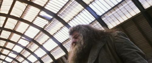 PF-Potterish_02665.jpg