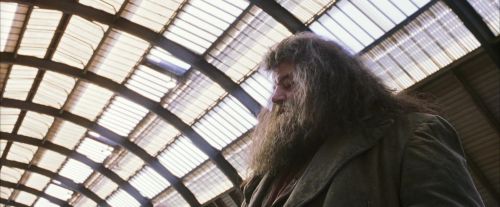 Click to view full size image
==============
PF-Potterish_02666.jpg PF-Potterish_02666.jpg