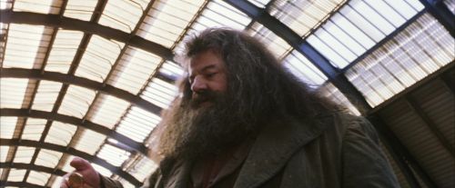 Click to view full size image
==============
PF-Potterish_02668.jpg PF-Potterish_02668.jpg