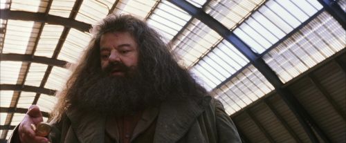 PF-Potterish_02669.jpg
