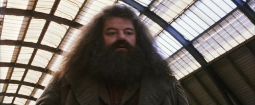 Click to view full size image
==============
PF-Potterish_02670.jpg PF-Potterish_02670.jpg