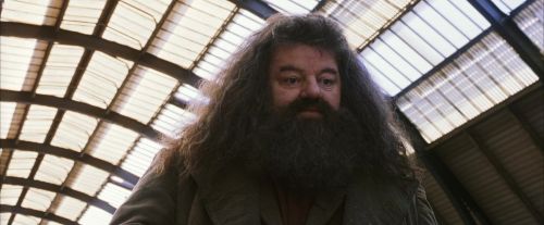 Click to view full size image
==============
PF-Potterish_02671.jpg PF-Potterish_02671.jpg