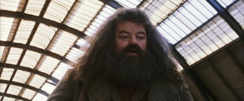 PF-Potterish_02672.jpg