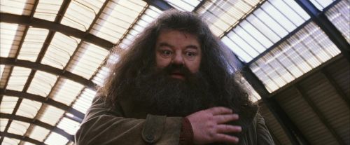 PF-Potterish_02675.jpg