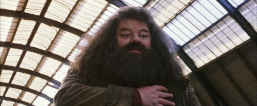 Click to view full size image
==============
PF-Potterish_02677.jpg PF-Potterish_02677.jpg