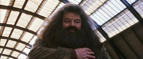 Click to view full size image
==============
PF-Potterish_02678.jpg PF-Potterish_02678.jpg