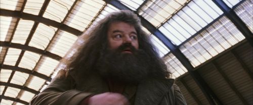 PF-Potterish_02679.jpg