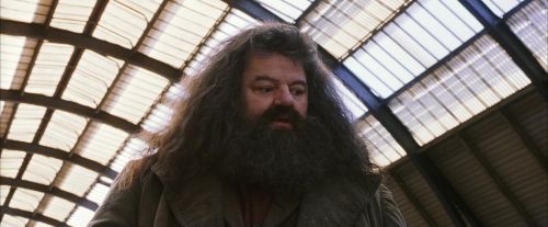 PF-Potterish_02680.jpg