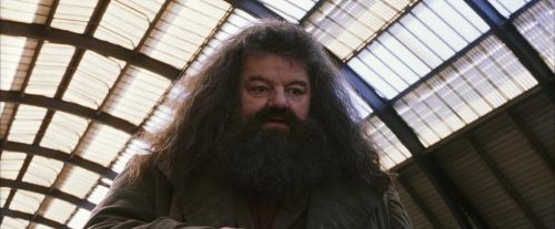 PF-Potterish_02681.jpg