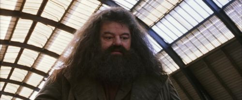 Click to view full size image
==============
PF-Potterish_02682.jpg PF-Potterish_02682.jpg