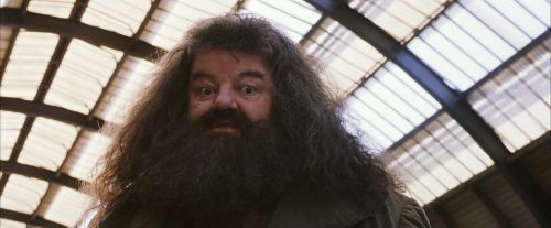PF-Potterish_02687.jpg