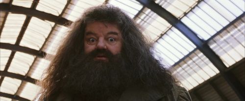 Click to view full size image
==============
PF-Potterish_02688.jpg PF-Potterish_02688.jpg