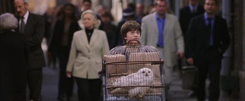 PF-Potterish_02721.jpg